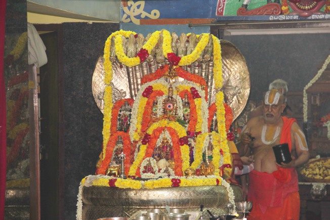 Srimath Andavan_Chaturmasyam_Tirumala_2013_16