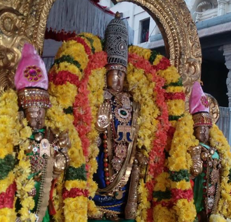 Thiruvallur Sri Veeraraghava Perumal Temple Thondaradipodi Azhwar Thirunakshatra Utsavam