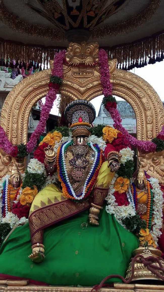 Vanamamalai Sri Deivanayaga Perumal Thirupavitrotsavam